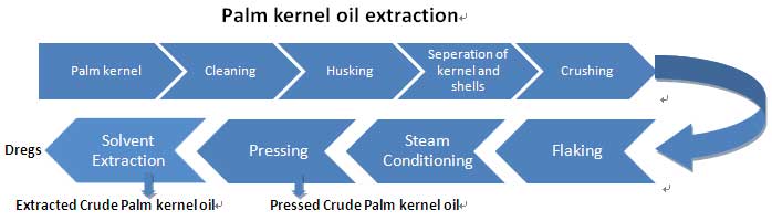 Palm Kernel Oil Extraction 