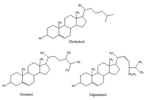 What is plant sterols and their functions