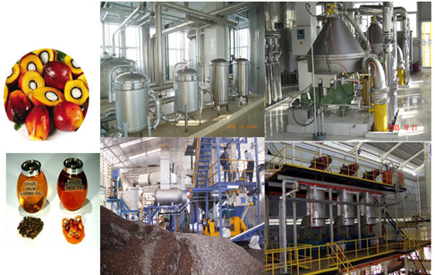 Palm oil physical refining process