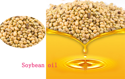 What is soybean oil?