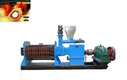 Palm oil milling machine