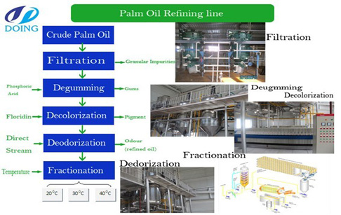 Palm oil refining plant