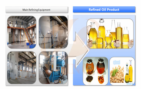 edible oil refinery plant