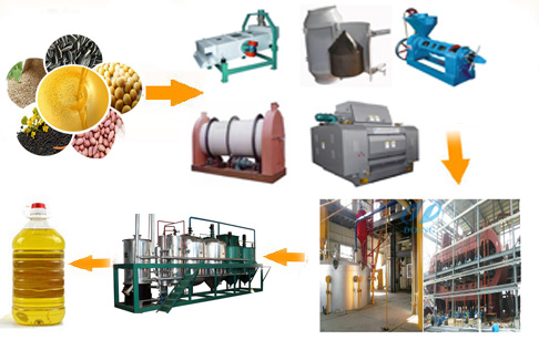 rice bran oil plant