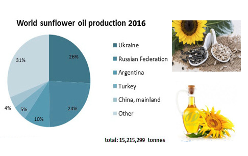 Sunflower oil producting market