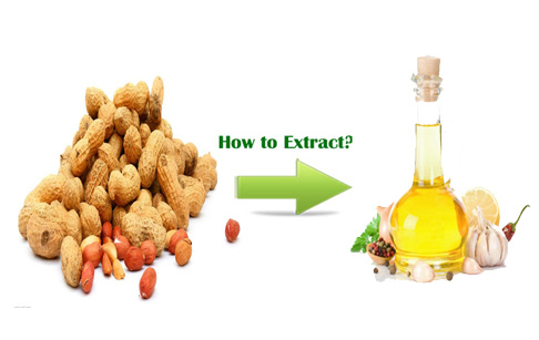 Fragrant peanut oil press technology