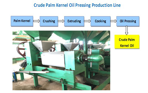 Palm kernel oil pressing machine