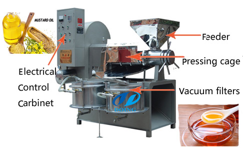 Automatic mustard seed oil pressing machine