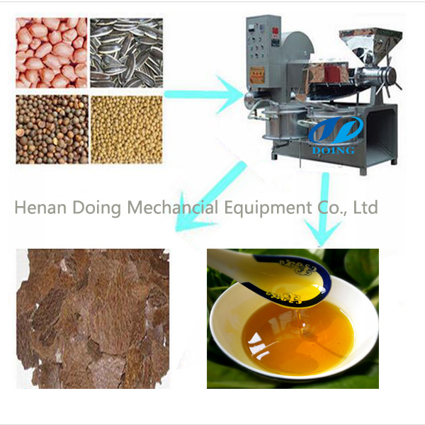 sunflower oil pressing machine