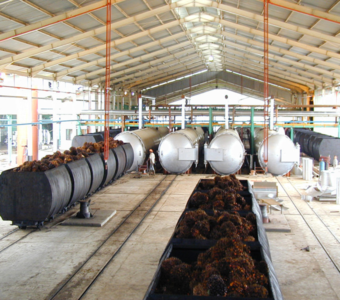palm fruit sterilizer 