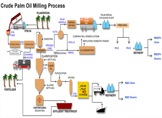 palm oil production process