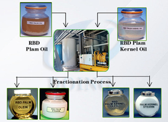 palm oil fractionation process