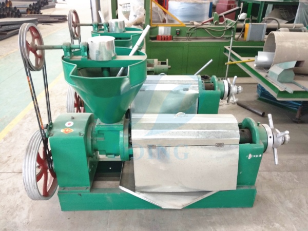 palm kernel oil expeller machine