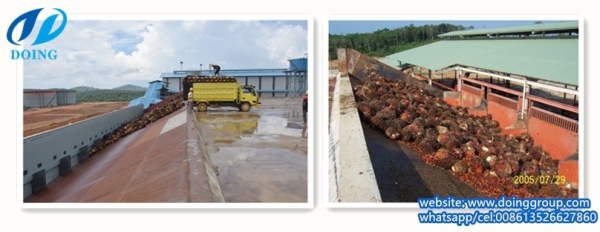 palm oil processing plant