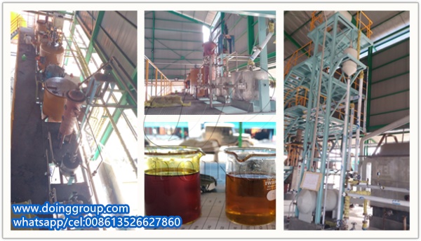 palm oil refinery plant