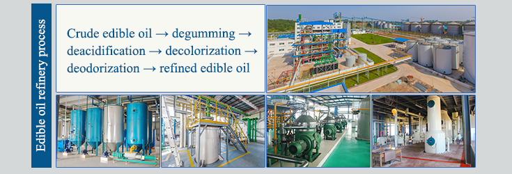 sunflower oil refinery production line