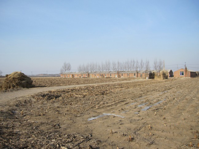How to choose address for waste tire/plastic pyrolysis plant.