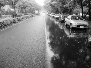 Waste tire/plastic/rubber can be recycled to pave road