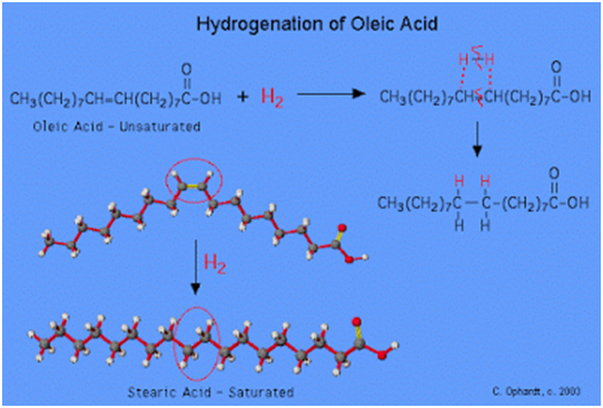 Hydrogenation makes palm oil