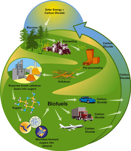Safety and environment of biodiesel fuel