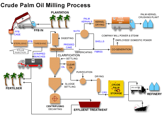 DOING palm oil mill process