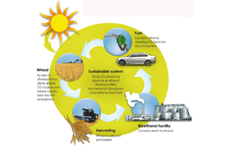 Biofuel description