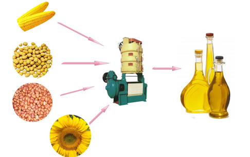 Vegetable oil making process plant