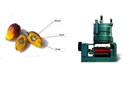 Palm kernel expeller Line