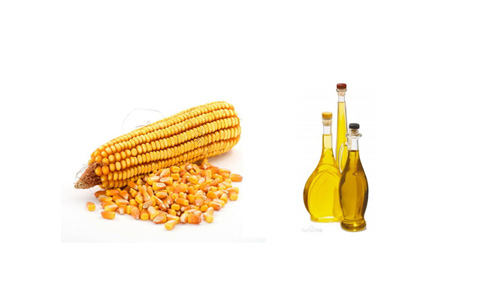 Corn germ oil considerations?