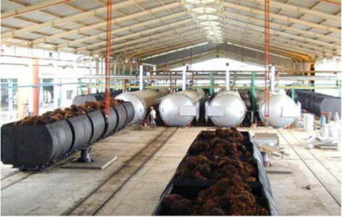 Crude palm oil production process