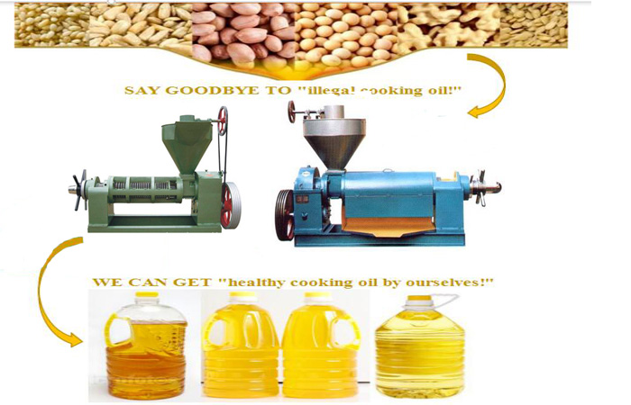 Long working life screw oil press machine