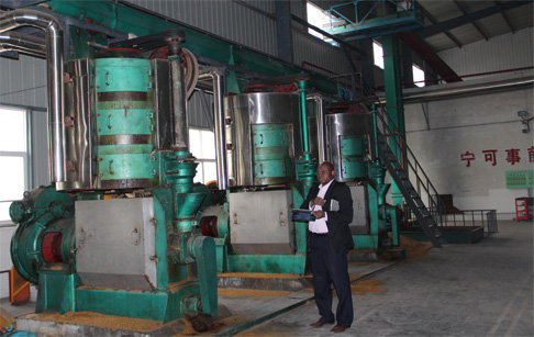 Sesame oil extraction plant