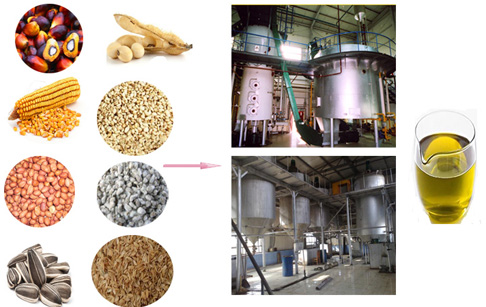 Cooking oil refining plant