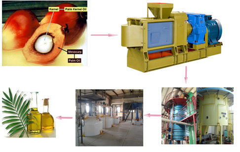 palm kernel oil refinery plant]  Crude palm kernel oil refinery plant