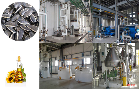 Sunflower oil refinery machine