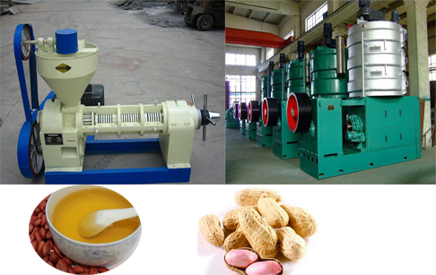 How to establish small peanut oil mill?