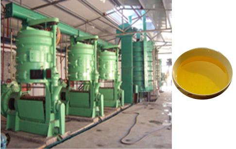 How to start a mustard oil mill ?