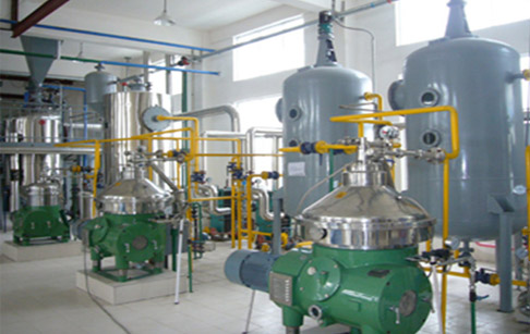 Oil solvent effects on products