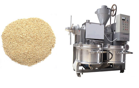 How to make sesame seed oil?