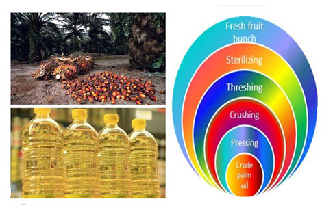 How is palm oil made?