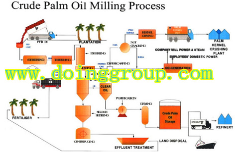 Palm oil processing line introduction briefly