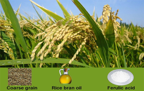 The storage of rice bran in the rice bran oil machine