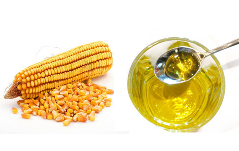The nutritive value of corn germ oil and its quality index