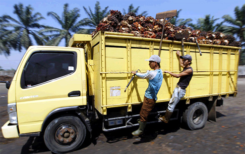 Palm oil to biodiesel