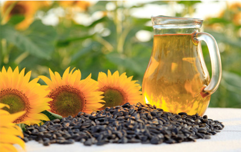 Method of sunflower oil extraction