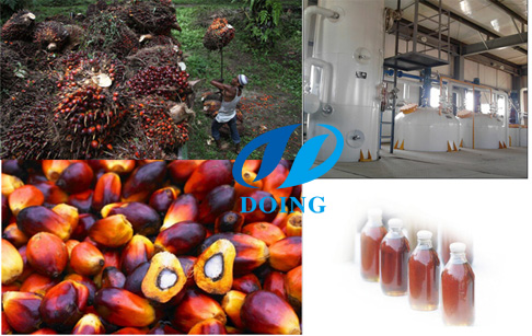 Crude palm oil specifications