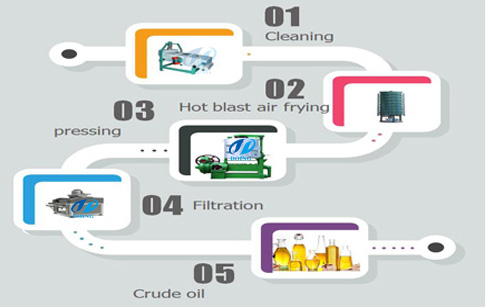 Vegetable oil processing steps