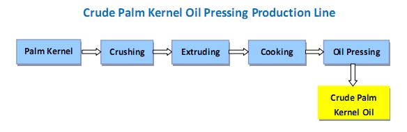 palm kernel oil production process