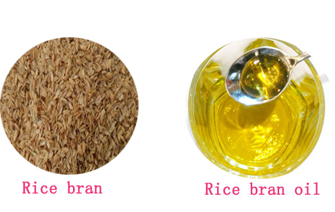 rice bran oil