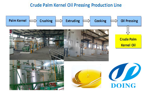 palm kernel oil refinery